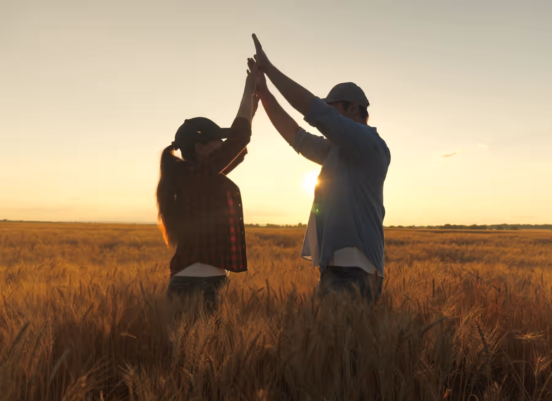 Adobe Stock 443052477