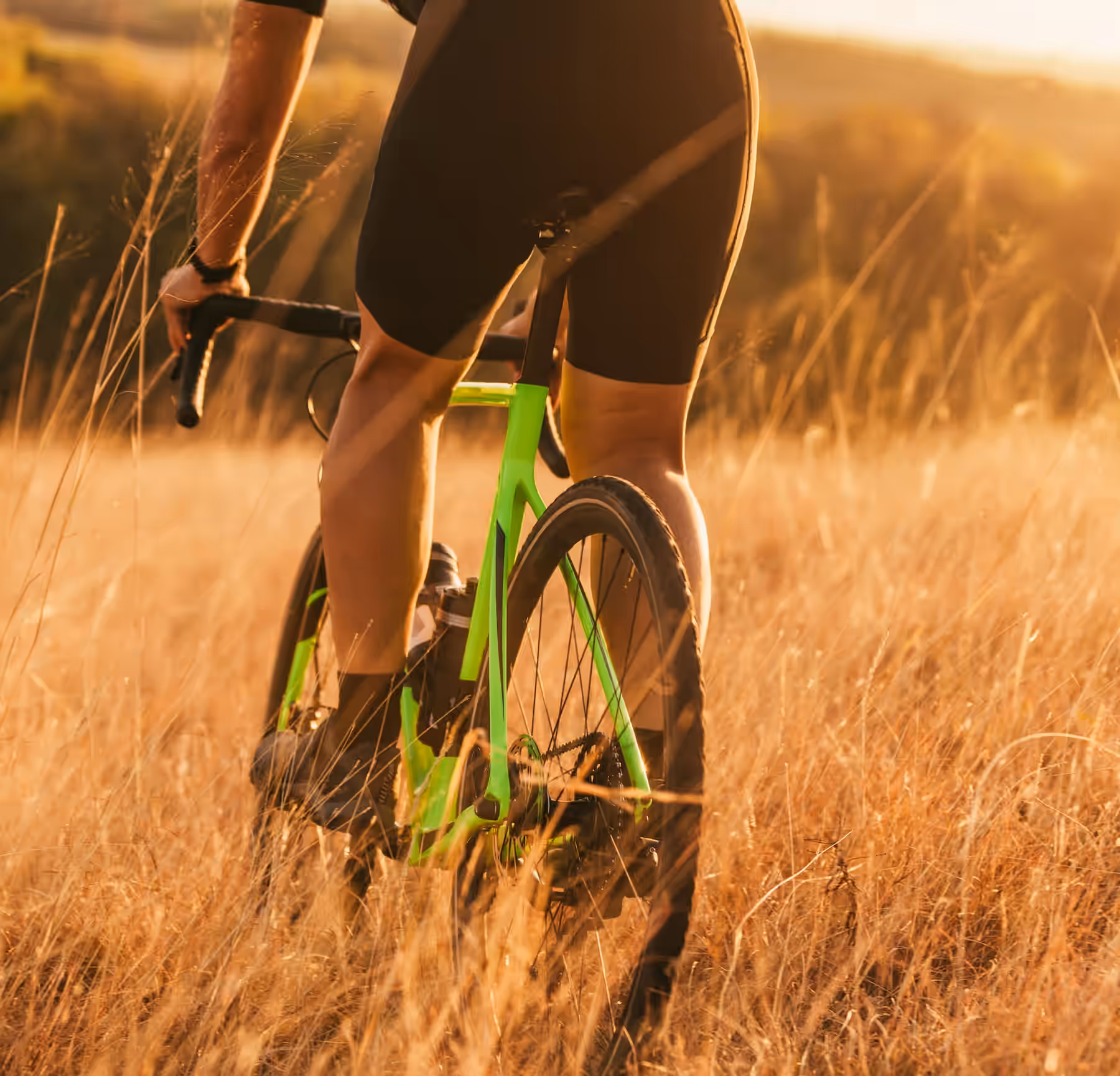 Hiking and cycle trails