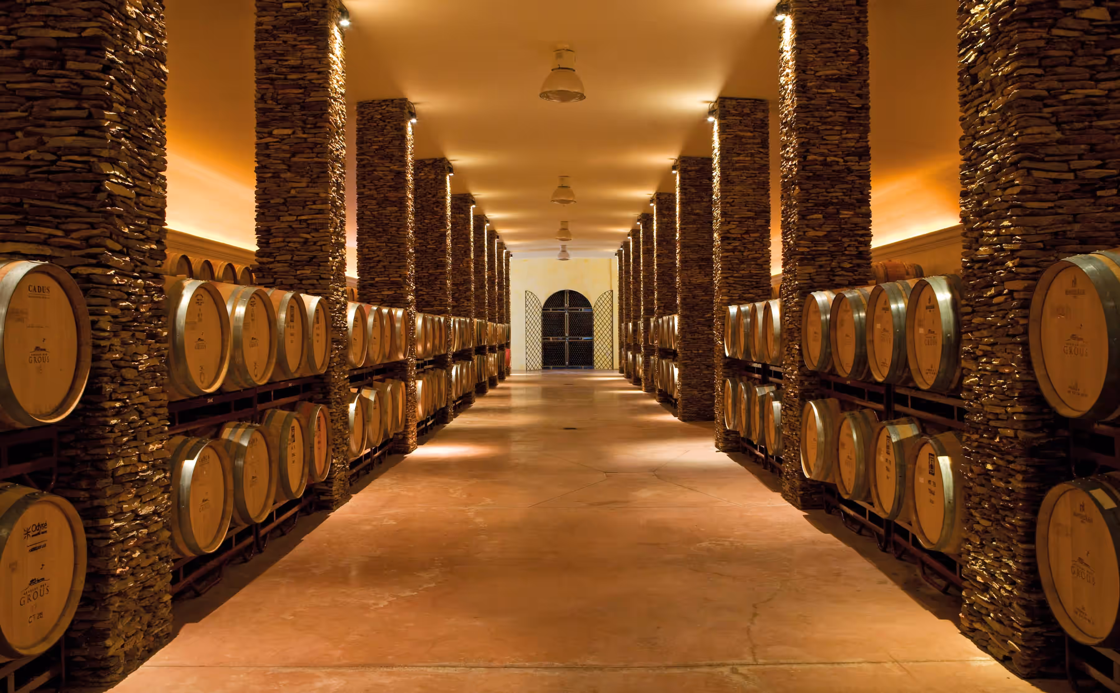 Wine Cellar