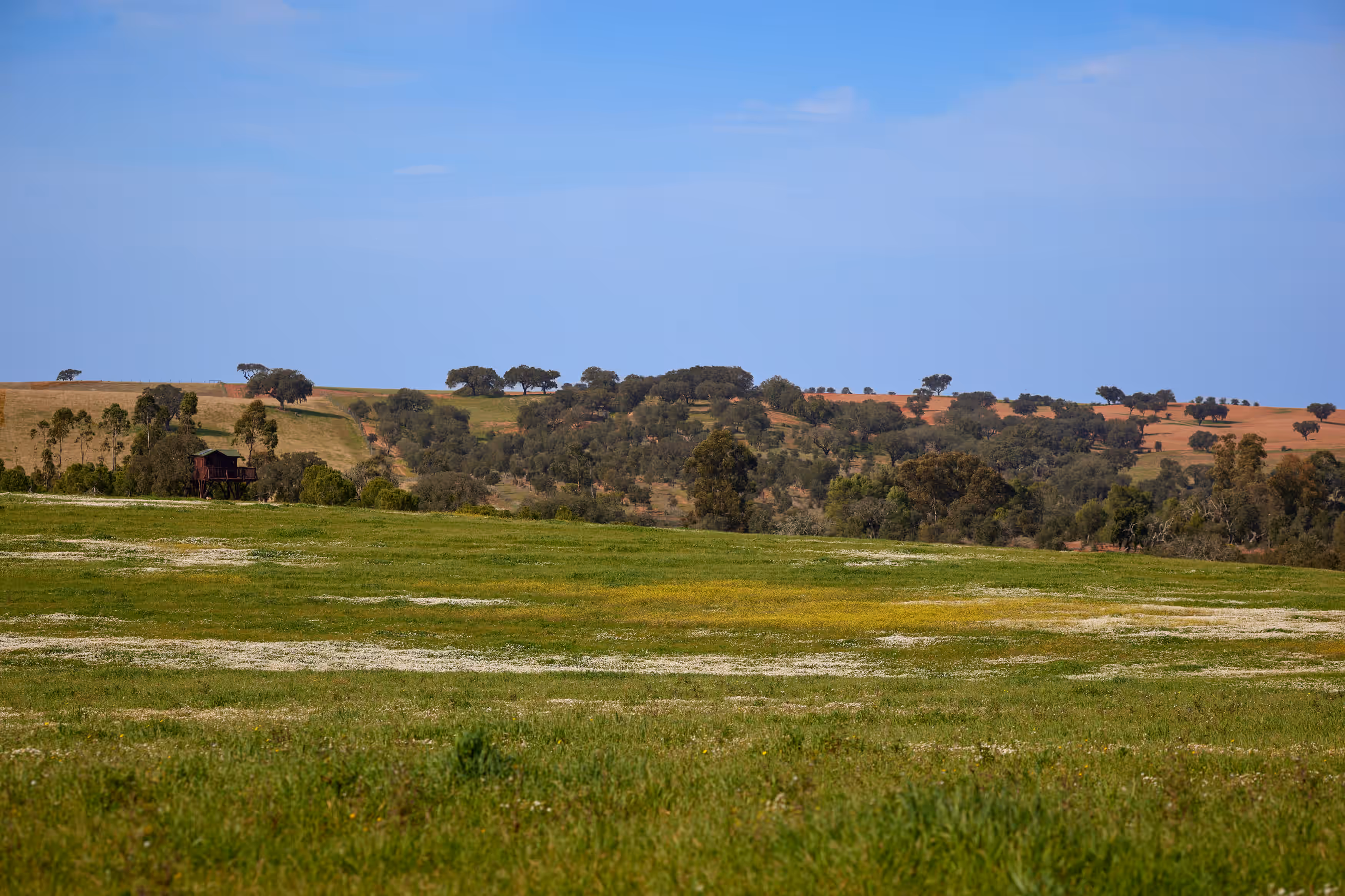 Herdade dos Grous countryside